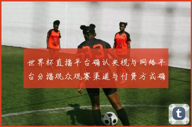 世界杯直播平台确认央视与网络平台分播观众观赛渠道与付费方式确定