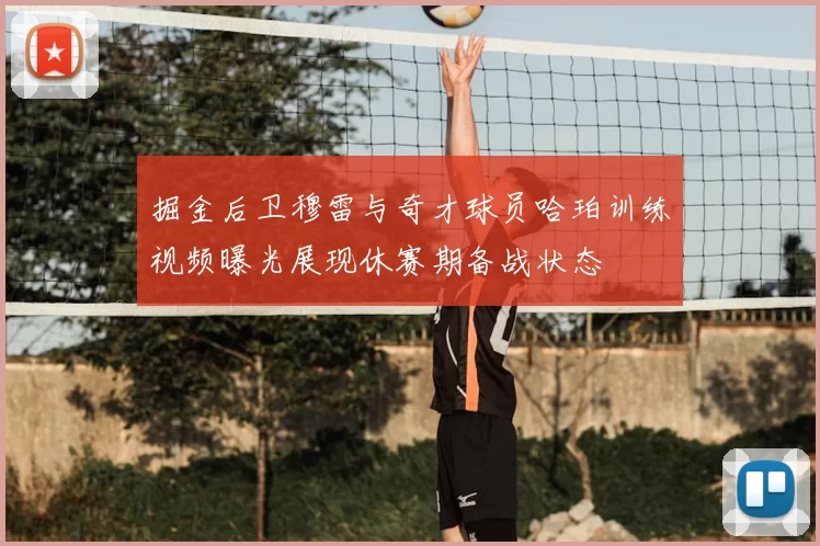 掘金后卫穆雷与奇才球员哈珀训练视频曝光展现休赛期备战状态