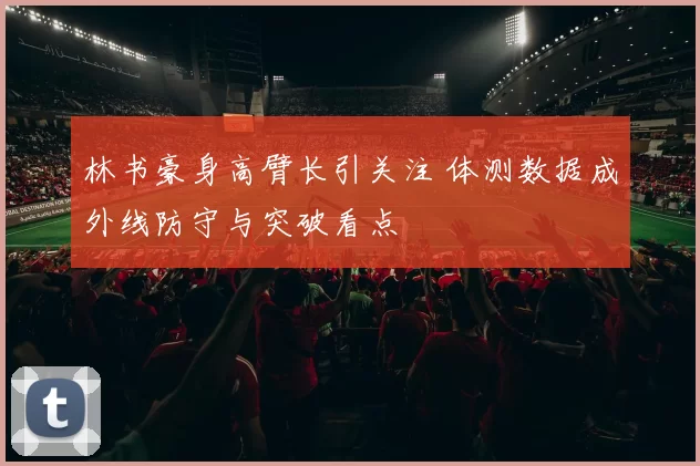 林书豪身高臂长引关注 体测数据成外线防守与突破看点