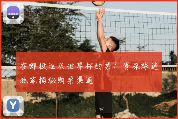 在哪投注买世界杯的票?资深球迷独家揭秘购票渠道