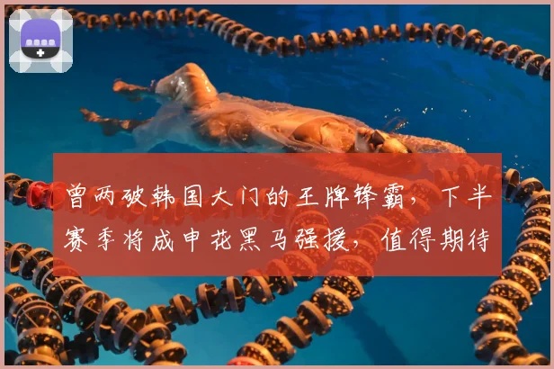 曾两破韩国大门的王牌锋霸,下半赛季将成申花黑马强援,值得期待_刘诚宇_久尔杰维奇_前锋