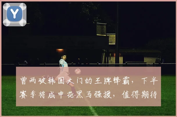 曾两破韩国大门的王牌锋霸,下半赛季将成申花黑马强援,值得期待_刘诚宇_久尔杰维奇_前锋