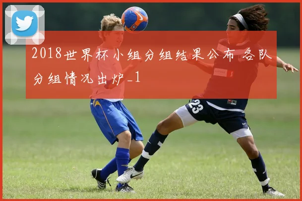 2018世界杯小组分组结果公布 各队分组情况出炉_1