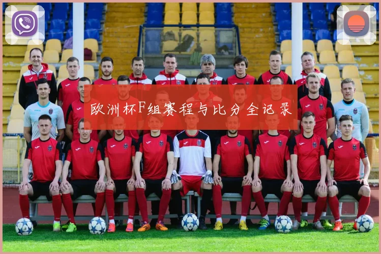 欧洲杯F组赛程与比分全记录