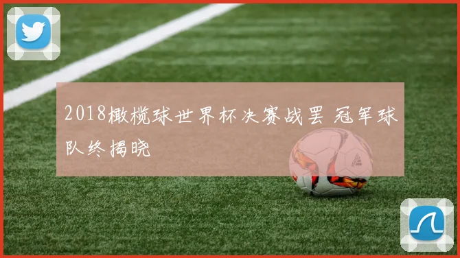 2018橄榄球世界杯决赛战罢 冠军球队终揭晓