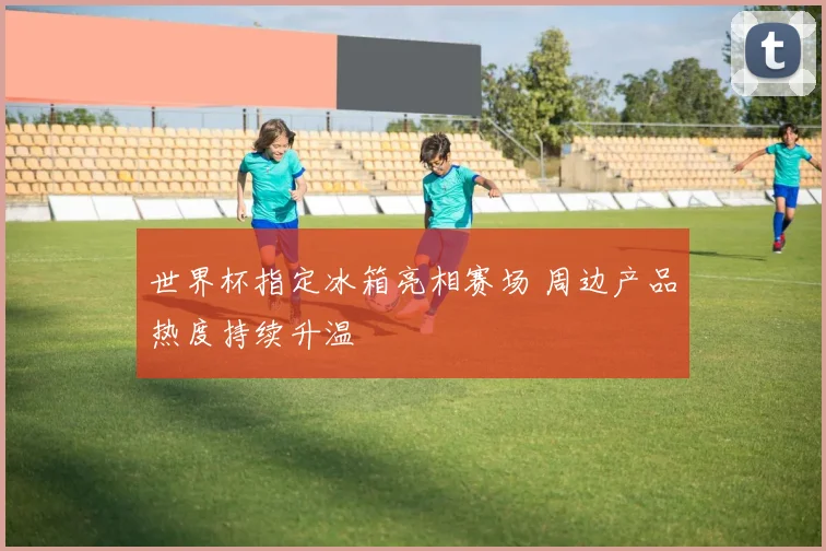 世界杯指定冰箱亮相赛场 周边产品热度持续升温