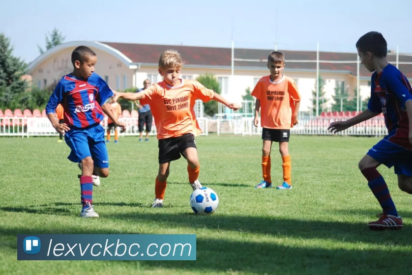 多媒体互动体验